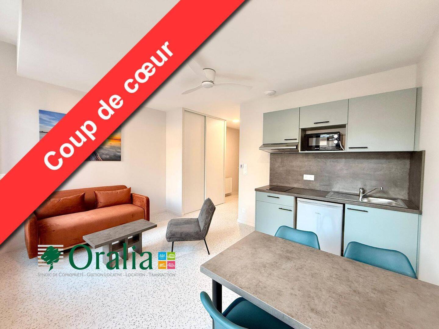 Appartement 1 pièce 26 m² · à Tarare · 26,4 m² · 500 €/mois