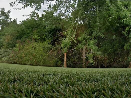 Terrain constructible à vendre 30 000 € 491 m² de terrain Pithiviers-le-Vieil 45300