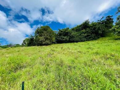 Terrain constructible à vendre 117 500 € 1 200 m² de terrain Le Vauclin 97280