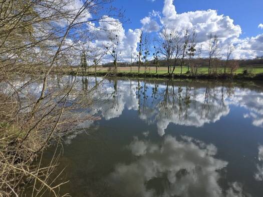 Terrain à vendre 7 500 € 4 710 m² de terrain Fontgombault 36220