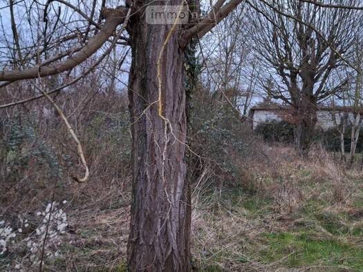 Terrain constructible à vendre 52 000 € 643 m² de terrain Villemandeur 45700