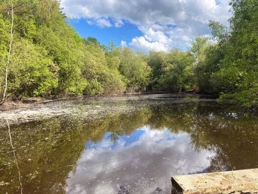 Terrain à vendre 24 000 € 15 743 m² de terrain Dussac 24270