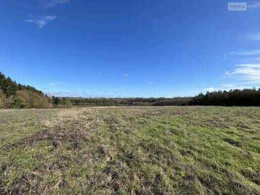 Terrain à vendre 34 500 € 83 571 m² de terrain Soulitré 72370