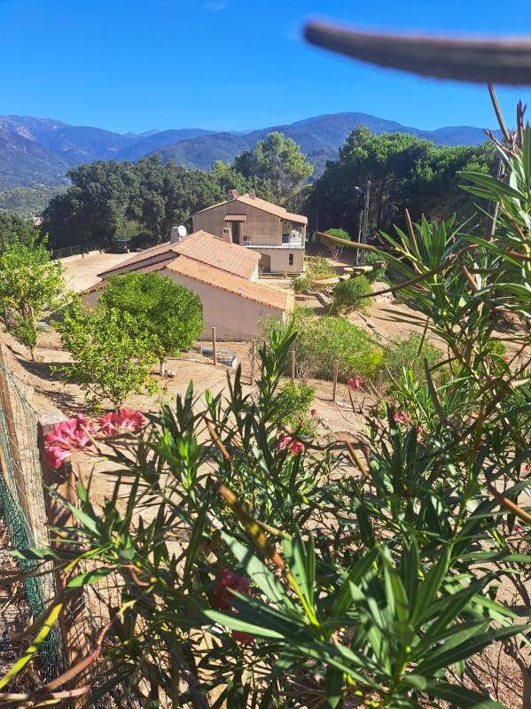 Maison 4 pièces 75 m² · à Sainte-Lucie-de-Tallano · 75 m² · 249 000 €