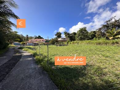 Terrain à vendre 235 000 € 2 800 m² de terrain Ducos 97224