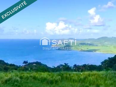 Terrain constructible à vendre 1 390 000 € 11 291 m² de terrain La Trinite 97220
