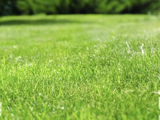 Terrain constructible à vendre 127 200 € 327 m² de terrain Chabossière Nord Couëron 44220