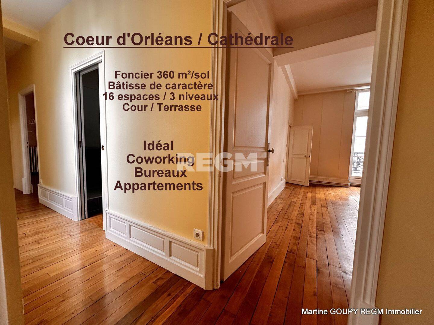 Maison 9 pièces 341 m² · à Orléans · 341 m² · 798 000 €