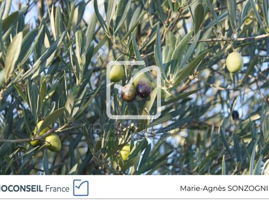 Terrain à vendre 107 000 € 5 359 m² de terrain Saint-Restitut 26130