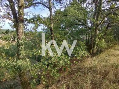 Terrain à vendre 15 000 € 4 087 m² de terrain Rural Nord et Rural Est Castres 81100