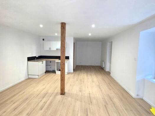 Appartement à louer 430 € 1 pièce 40 m² RDC/3 disponible dès maintenant La Ville Cours 69470
