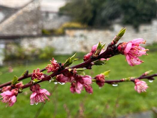 Maison à vendre 263 000 € 4 pièces 2 chambres 67 m² 738 m² de terrain Vigny 95450