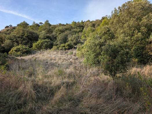 Terrain constructible viabilisé à vendre 78 000 € 2 300 m² de terrain Lagrasse 11220