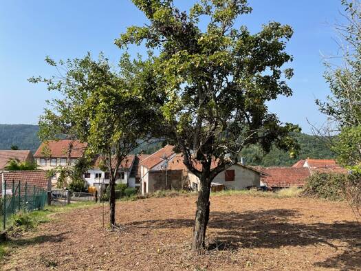 Terrain à vendre 19 500 € 940 m² de terrain Haselbourg 57850