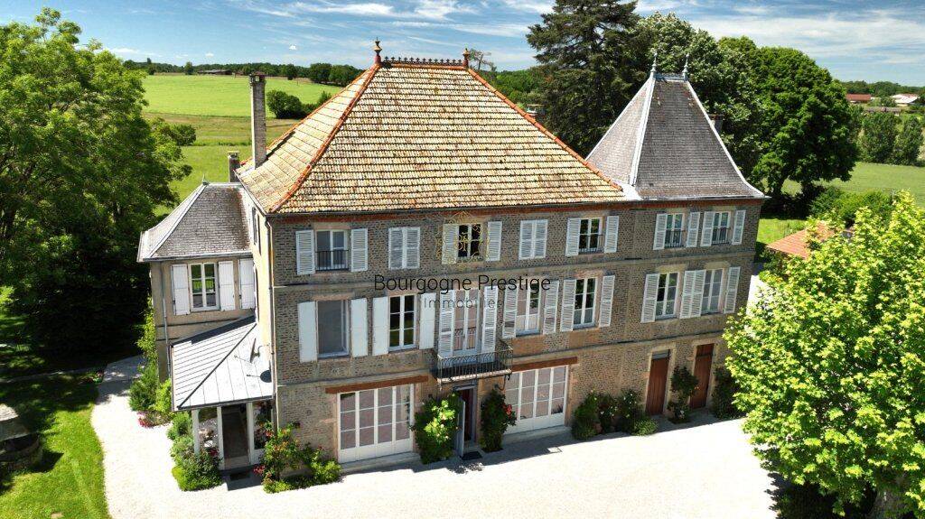 Maison 11 pièces 450 m² · à Tournus · 450 m² · 970 000 €