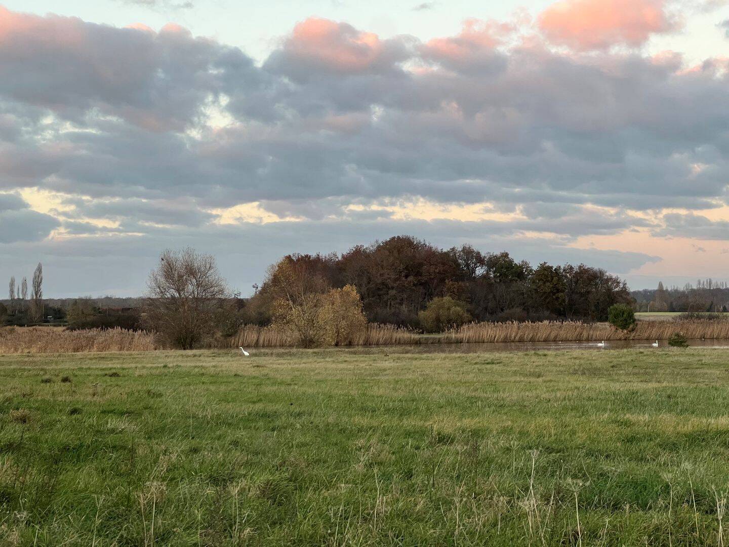 Maison 4 pièces 180 m² · à Nesploy · 180 m² · 750 000 €