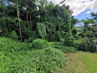 Terrain constructible à vendre 370 000 € 2 223 m² de terrain DUCOS 97224