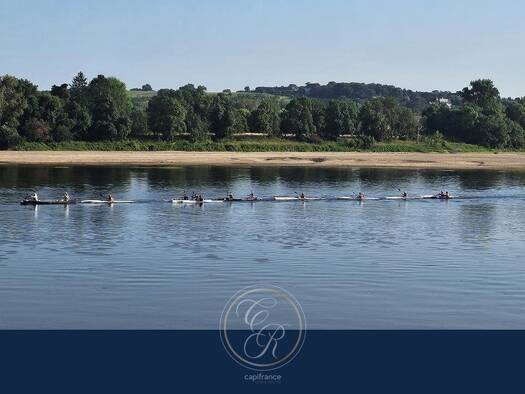 Maison à vendre 885 000 € 7 pièces 5 chambres 270 m² 15 537 m² de terrain Béhuard 49170