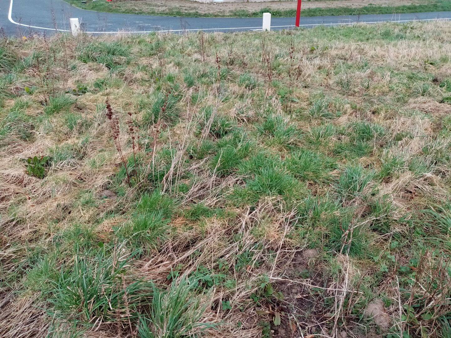 Terrain de 637 m² à Ourville-en-Caux - photo 2