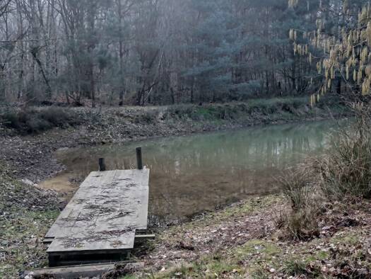 Terrain à vendre 14 500 € 3 200 m² de terrain Baugé-en-Anjou 49150