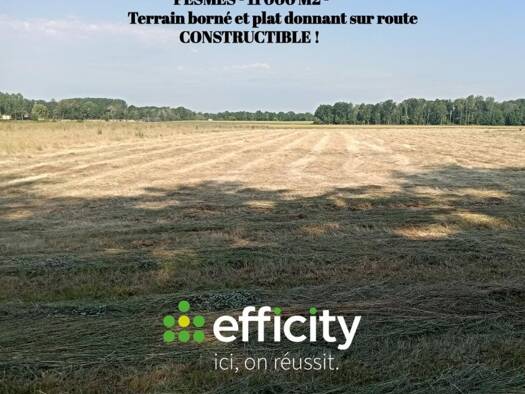 Terrain constructible à vendre 172 000 € 11 000 m² de terrain Pesmes 70140