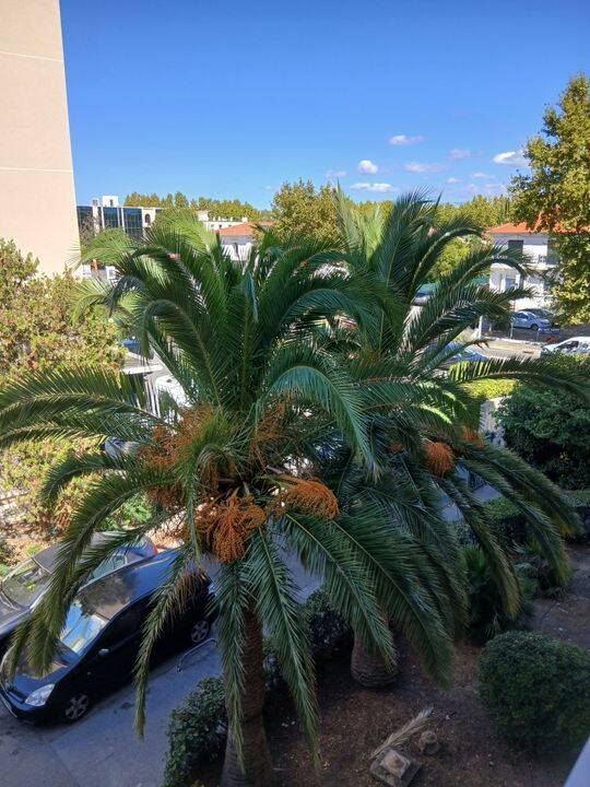 Appartement 4 pièces 82 m² · à Fréjus · 82 m² · 1 450 €/mois