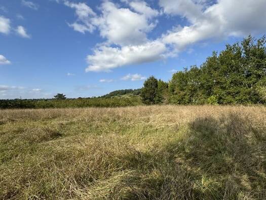 Terrain constructible à vendre 55 000 € 4 500 m² de terrain Saillac 19500