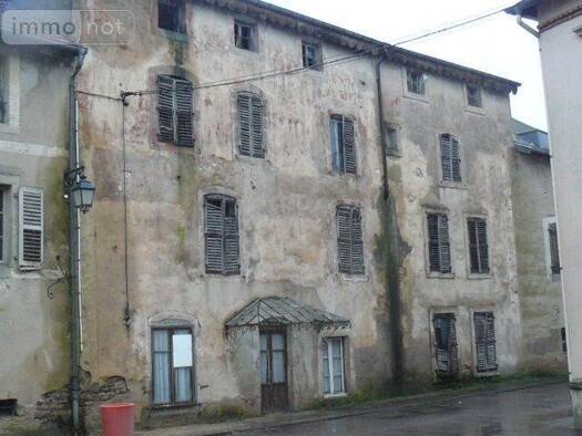 Immeuble à vendre 18 000 € 480 m² Bains-les-Bains 88240