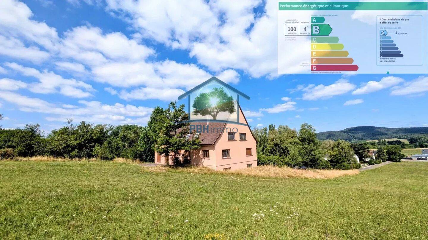 Maison 12 pièces 334 m² · à Ingwiller · 334 m² · 457 000 €