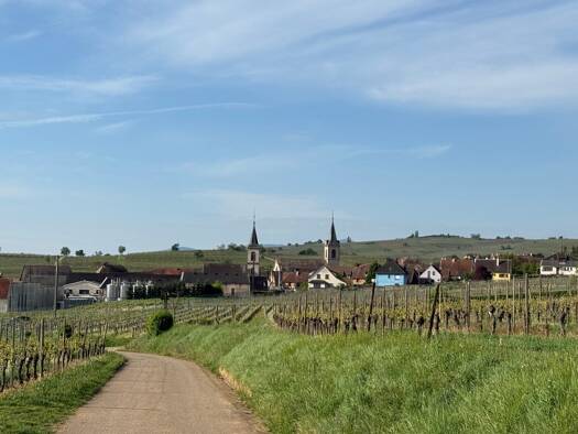 Appartement à vendre - neuf 204 000 € 2 pièces 1 chambre 51,2 m² dès le 31/12/2027 Beblenheim 68980