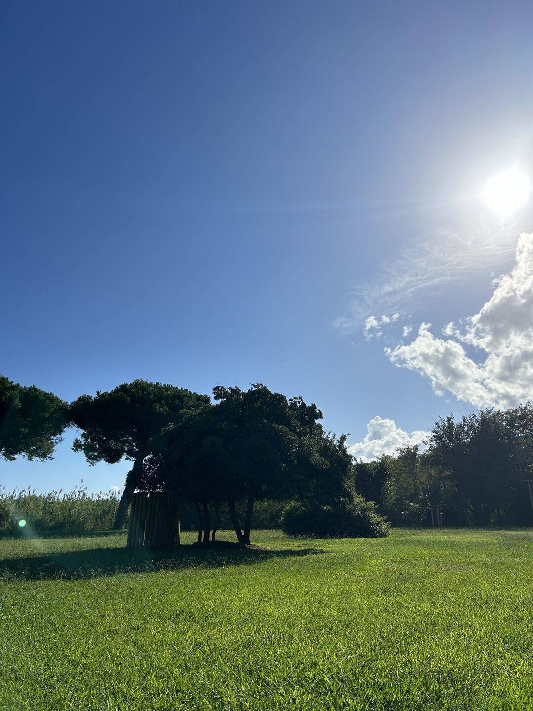 Appartement 1 pièce 30 m² · à Santa-Lucia-Di-Moriani · 30 m² · 90 000 €