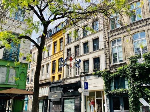 Immeuble à vendre 780 000 € 125 m² Vieux Lille Lille 59800