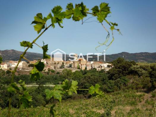 Boutique à vendre Fonds de commerce 285 000 € 82 497 m² de surface de vente Latour-de-France 66720