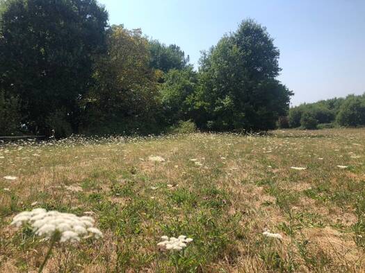 Terrain constructible à vendre 23 500 € 1 762 m² de terrain Saint-Front-de-Pradoux 24400