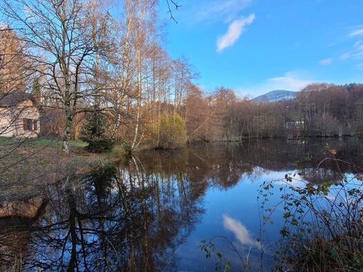 Terrain à vendre 80 000 € 13 391 m² de terrain Sapois 88120