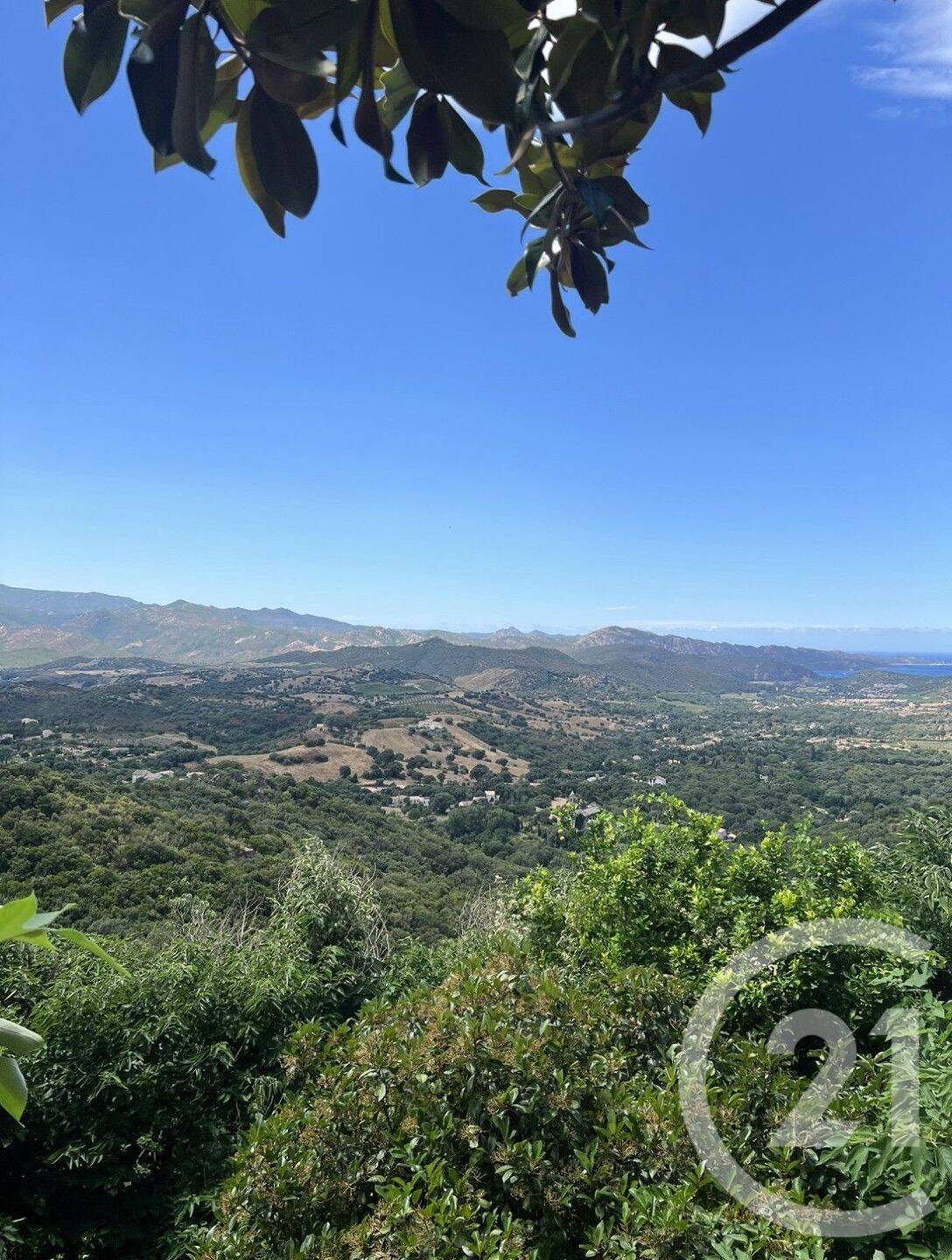 Terrain de 285 m² à Oletta - photo 2