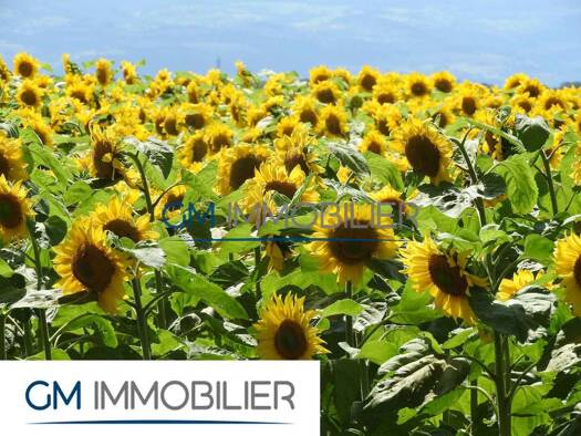 Terrain constructible à vendre 55 000 € 4 350 m² de terrain Peyre 40700