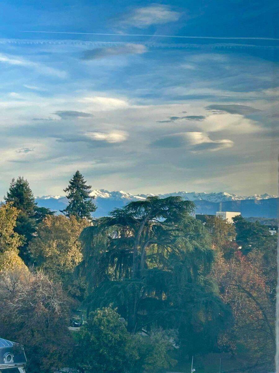 Appartement 3 pièces 80 m² · à Pau · 80 m² · 1 050 €