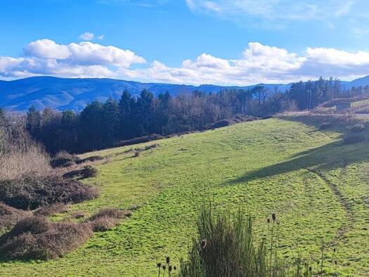 Terrain constructible à vendre 63 000 € 1 825 m² de terrain Pont-de-Larn 81660