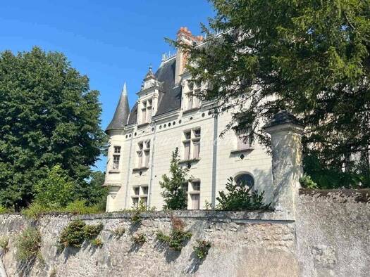 Château à vendre 1 300 000 € 16 pièces 12 chambres 1 000 m² 10 000 m² de terrain Noizay 37210