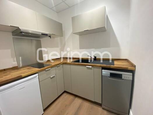 Appartement à louer 770 € 1 pièce 37 m² RDC Ile Verte Grenoble 38000