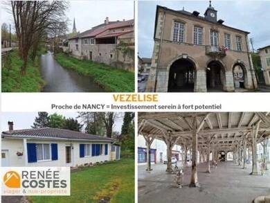 Maison en viager occupé Bouquet 31 156 € 4 pièces 3 chambres 82 m² 1 210 m² de terrain Vezelise 54330