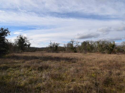 Terrain constructible à vendre 52 000 € 2 750 m² de terrain Saint-Géry 46330