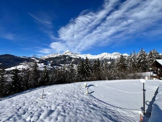 Terrain constructible viabilisé à vendre 450 000 € 733 m² de terrain Cohennoz 73400