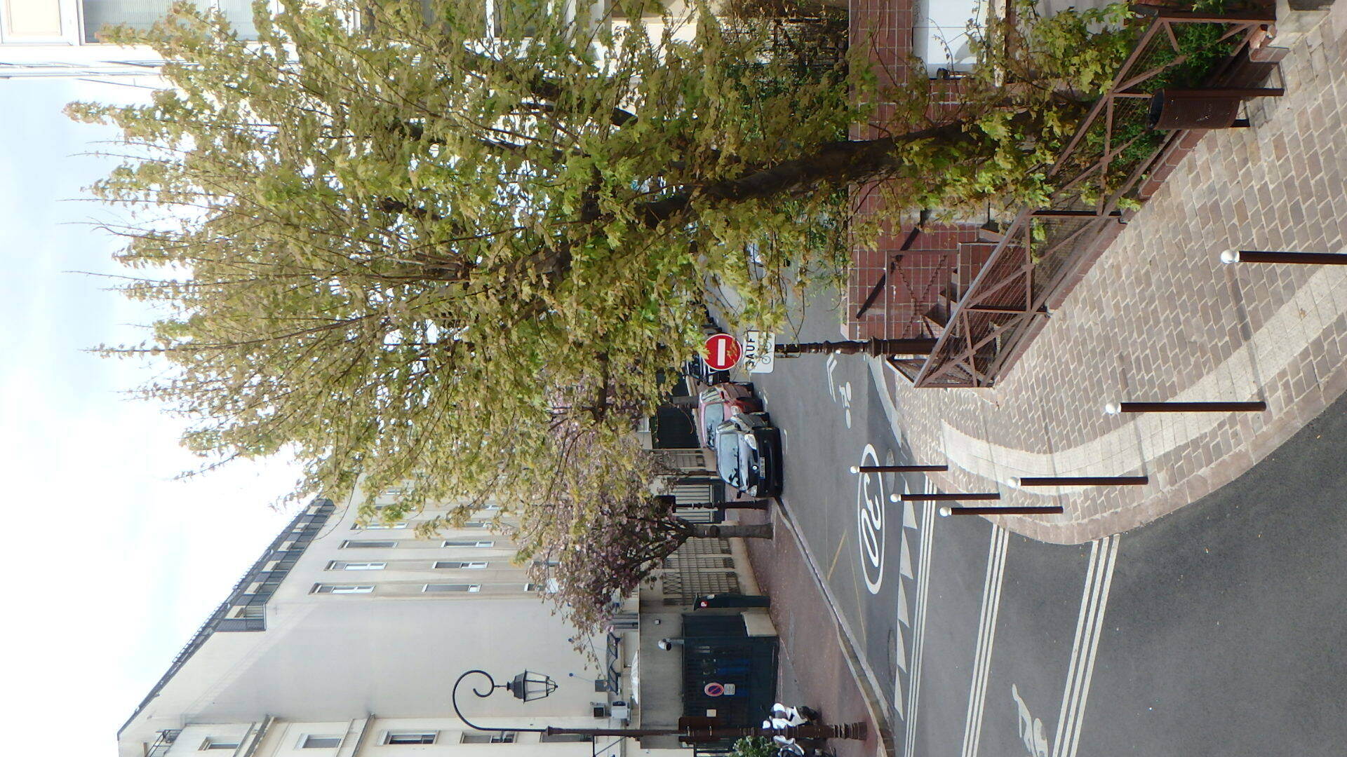Appartement 1 pièce 23 m² · à Saint-Cloud · 23 m² · 707 €/mois