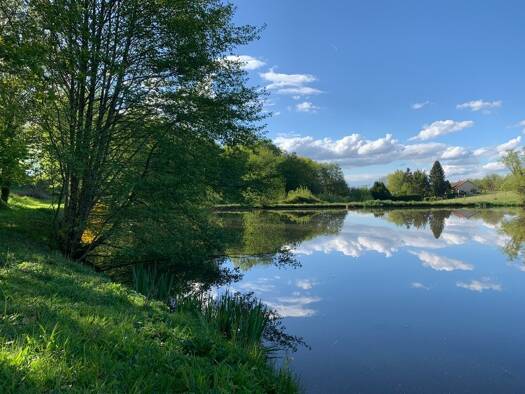 Propriété de loisirs à vendre 55 000 € 20 347 m² de terrain Lanouaille 24270