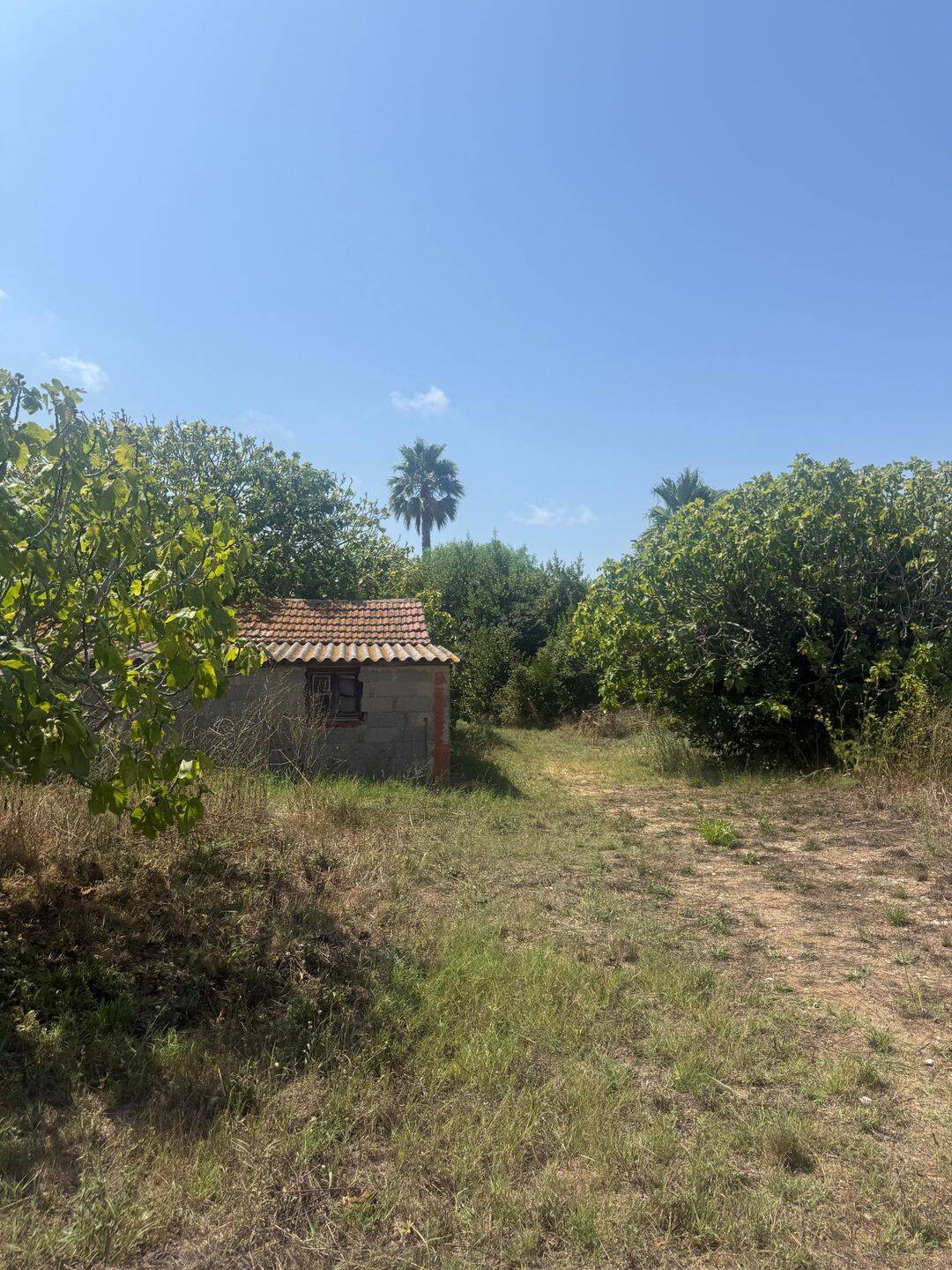 Terrain de 517 m² à Six-Fours-les-Plages - photo 2