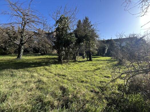 Terrain constructible viabilisé à vendre 136 500 € 1 776 m² de terrain Saint Lambert des Levées Centre Saumur 49400