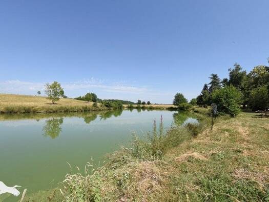 Maison à vendre 219 999 € 6 pièces 4 chambres 149 m² 19 885 m² de terrain Couddes 41700