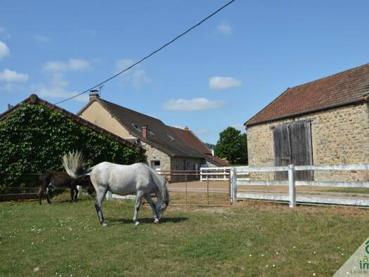 Villa à vendre 330 000 € 5 pièces 3 chambres 190 m² 15 873 m² de terrain Charbonnat 71320